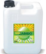 VERDE RAGGIO