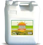 ERGOPLANT AZOFORT