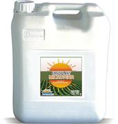 ERGOPLANT MICROTERR